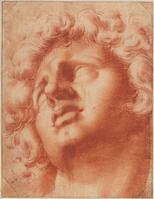 J 029
<br/>
Kop van jongeman, opziend ('Alessandro morente')
<br/>
<em>Roncalli, Cristofano (1552/3-1626)</em>